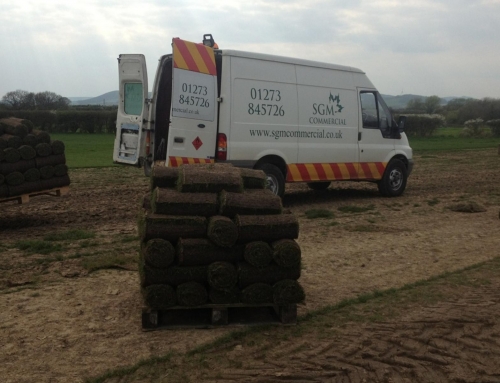 Sussex Garden Work 4