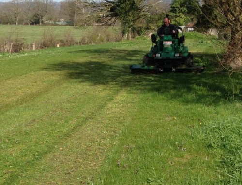 Sussex Garden Work 9